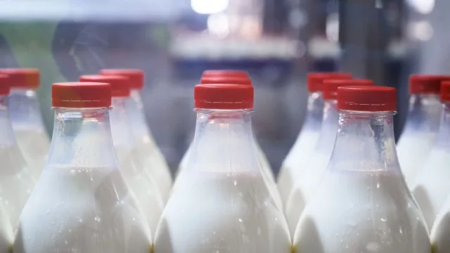 MGAP actualiza los requisitos para habilitación y control de industrias lácteas en Uruguay