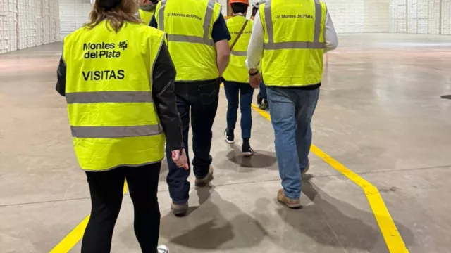 Entre árboles, barcos y comunidades: el recorrido por la planta de Montes del Plata que despacha 150.000 toneladas de celulosa al mes