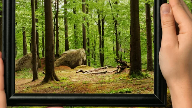 Pensar el bosque sin perder el árbol, liderazgo sistémico en la era de la IA