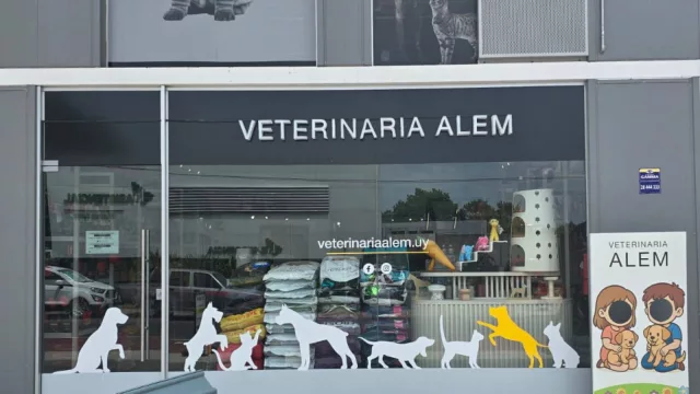 Veterinaria Alem invirtió US$ 95.000 para abrir su cuarto local en Uruguay (y proyecta expansión)