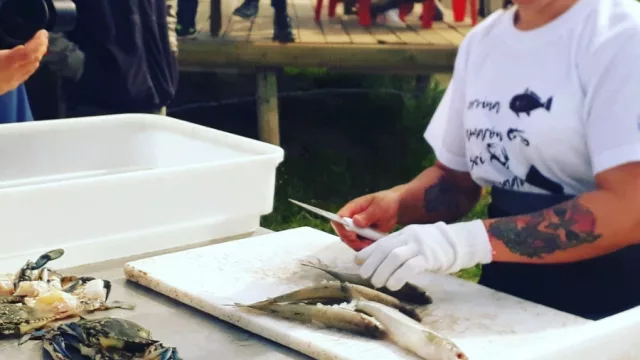 De “intruso dañino” a negocio en expansión: el boom del cangrejo sirí en Uruguay