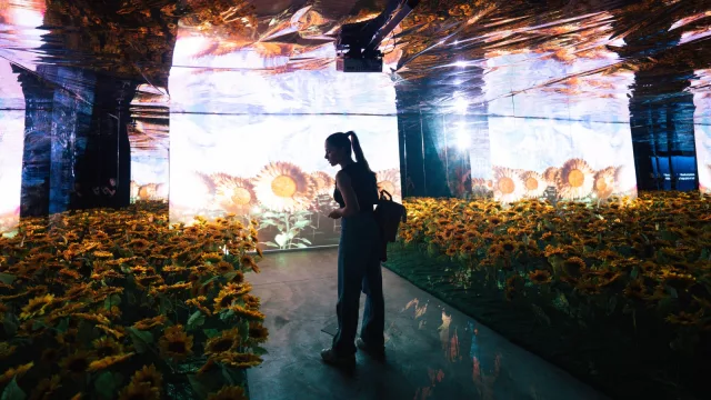 Van Gogh inmersivo extiende su temporada (el 3 de enero reestrena en la Rural por éxito total)