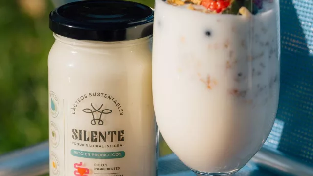 En un año, Silente cuadruplicó su venta de yogurt 100% natural (pasó de 5.000 a 20.000 frascos)