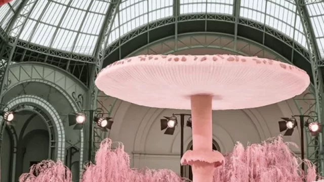Chanel en el Grand Palais: la haute couture se transforma en un mundo experiencial, poético y multisensorial (como la mayoría de las marcas líderes hoy)