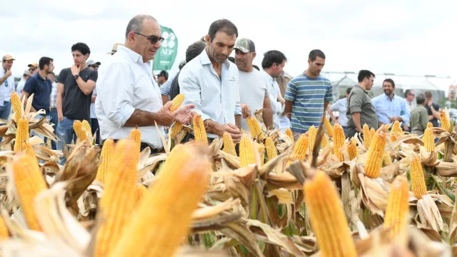 Nada como ver las cosas (evento de ADP-Agronegocios del Plata por cultivos de verano)