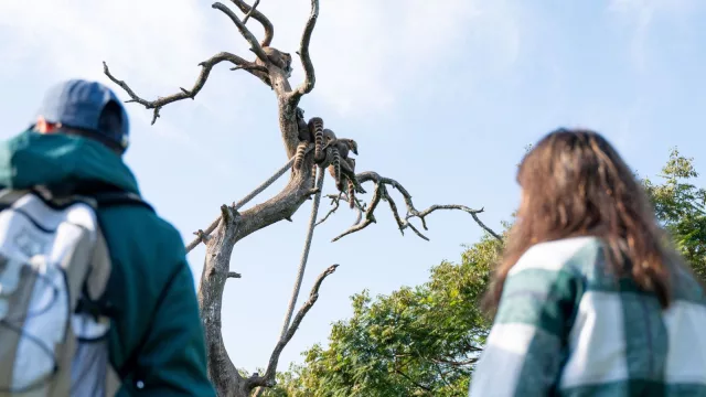 Naturaleza pura (Montes del Plata vuelve abrir el Bioparque M’Bopicuá)