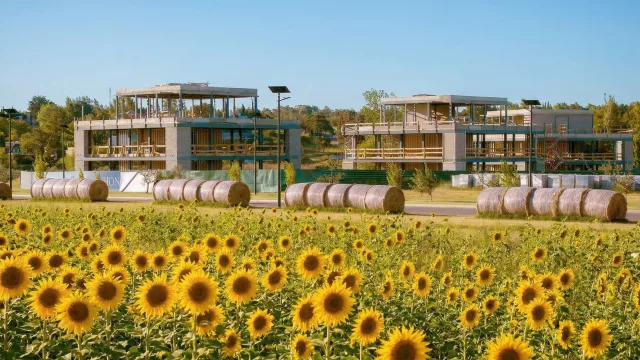 Tahona Valley: el distrito que proyecta el futuro del trabajo