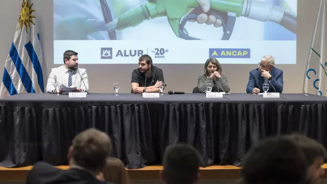 ¿Qué impacto tiene el uso de biocombustibles en la reducción de la emisión de gases de efecto invernadero? (Esto responde un informe de ALUR)