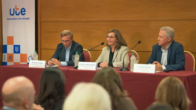 Un hito que posiciona a UY como pionero en LATAM (más de 1.700.000 hogares en el país cuentan con medidores inteligentes)