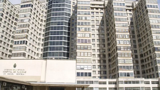 THC y CBD medicinal (Yuzu Pharmaceutical invierte su primer millón de dólares para investigar en Uruguay y va por más)