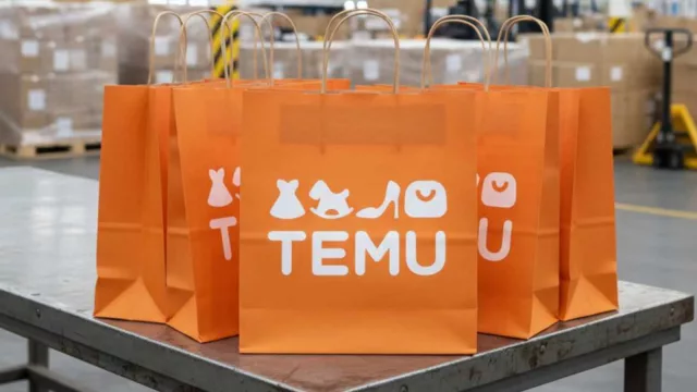 En vez de facilitar, la complican (couriers ven inviabilidad en compras web bajo franquicia)