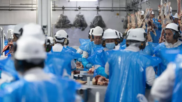 Tacuarembó crece (Frigorífico Tacuarembó duplicó su capacidad de faena y su producción de hamburguesas aumentó de 200 a 900 toneladas por día)