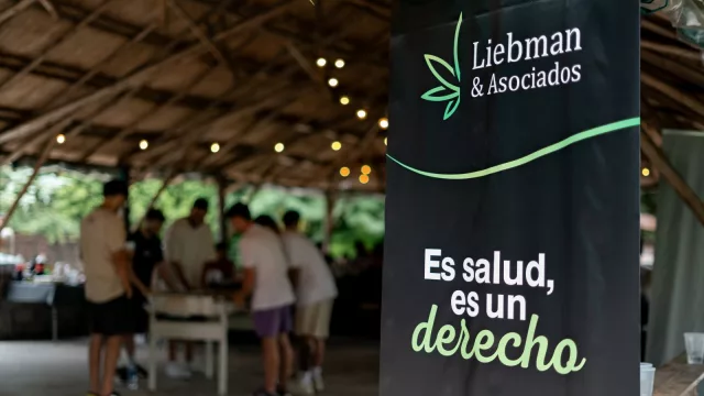 Uruguay legalizó una industria y Argentina se quedó atrás (el cannabis vuelve a ser centro de la conversación regional)