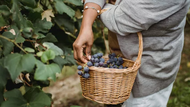 Día del Trabajador Rural: el agro avanza en equidad con un plan en marcha hasta 2029