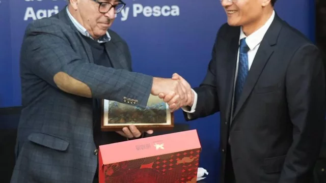 China mira más de cerca los granos uruguayos: autoridades avanzan en cooperación sobre reservas alimentarias y calidad