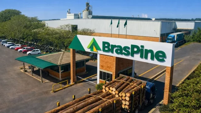 Empresa forestal-maderera BrasPine invertirá US$ 250 millones de dólares en Rivera (esto destacó la ministra de Industria sobre esta instalación)