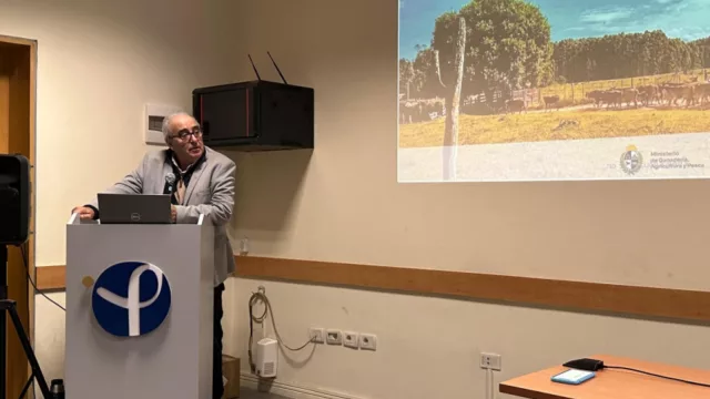 Garrapata bovina: vacuna uruguaya superó su primera prueba a campo y mostró señales alentadoras