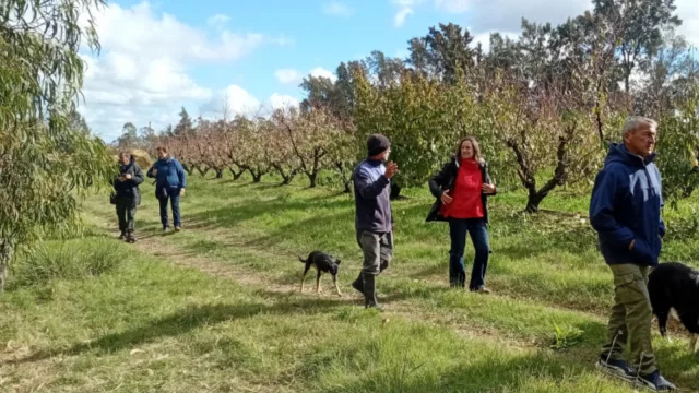 Mujeres rurales de Canelones avanzan en producción de plantas nativas para restauración y nuevos emprendimientos