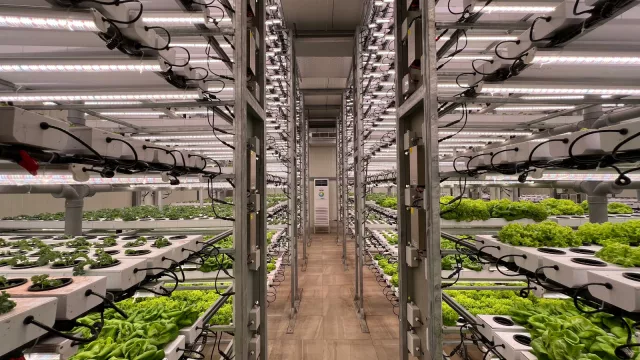 El Cono Sur reúne 468 startups agrifoodtech y Uruguay representa el 7,3% del ecosistema regional