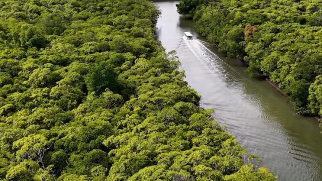 Dolores proyecta una represa de US$ 21 millones para sumar 10.000 hectáreas bajo riego