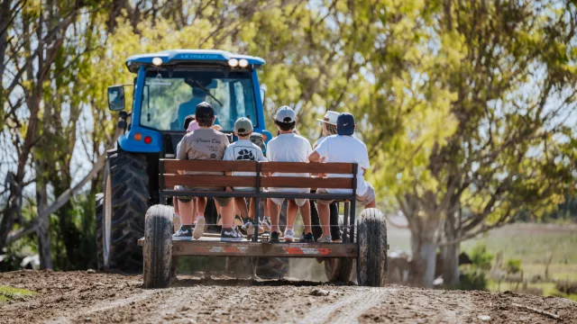 Idas y venidas en vacaciones de julio (crecen 10% los viajes de uruguayos al exterior y CAMTUR atribuye la baja del turismo interno al “efecto Mundial”)