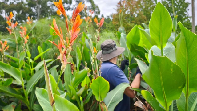 Río Azul ya instaló más de 56 plantas en Uruguay y prepara un modelo de licencias para expandirse