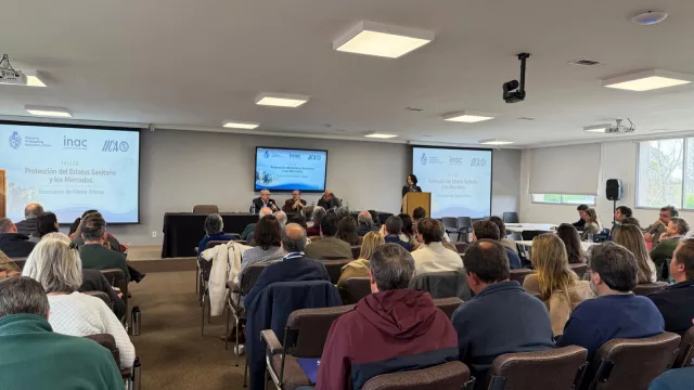 Uruguay lleva 25 años sin aftosa, pero ¿está preparado para cuando vuelva?