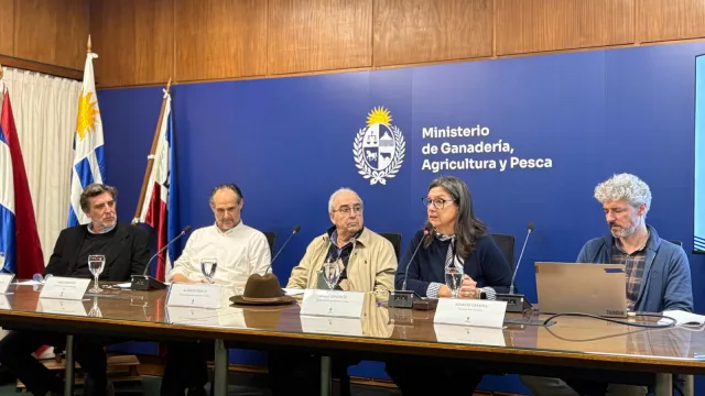 Manzanas, peras y duraznos: cómo cerró la última zafra de frutales en Uruguay
