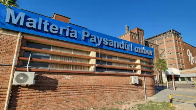 Ambev no para de generar noticias en el movido negocio cervecero (Cympay volverá a producir en Paysandú desde enero tras meses de inactividad)