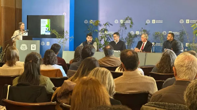Uruguay pone el foco en el bambú y empieza a delinear una estrategia nacional