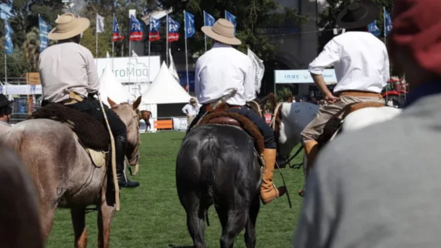 Rural del Prado 2026 comienza hoy con 10 jornadas dedicadas al agro