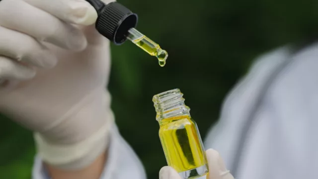 Para que no se haga humo una oportunidad para UY (crece la demanda de importación de cannabis en Brasil)