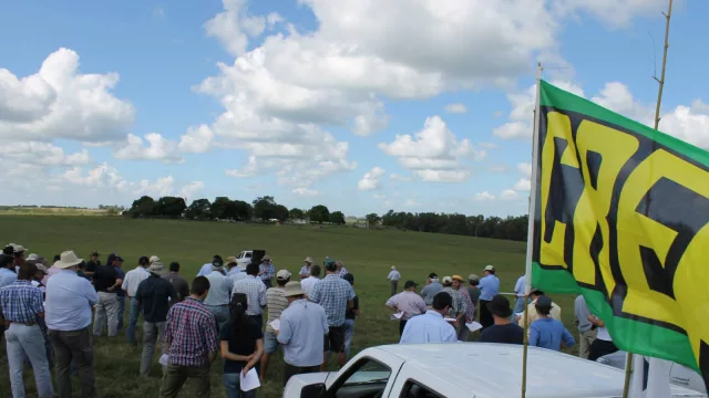 Productividad, inversión y competitividad: los desafíos del agro uruguayo, según FUCREA